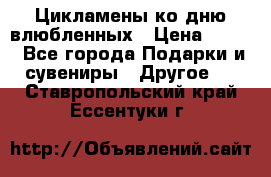 Цикламены ко дню влюбленных › Цена ­ 180 - Все города Подарки и сувениры » Другое   . Ставропольский край,Ессентуки г.